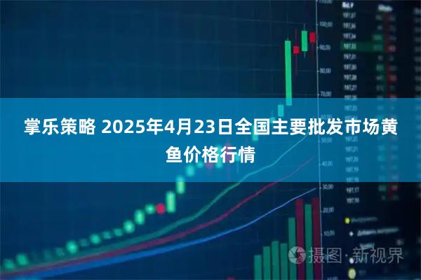 掌乐策略 2025年4月23日全国主要批发市场黄鱼价格行情