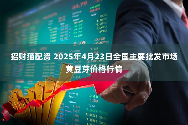 招财猫配资 2025年4月23日全国主要批发市场黄豆芽价格行情