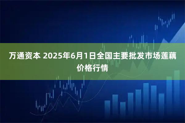 万通资本 2025年6月1日全国主要批发市场莲藕价格行情