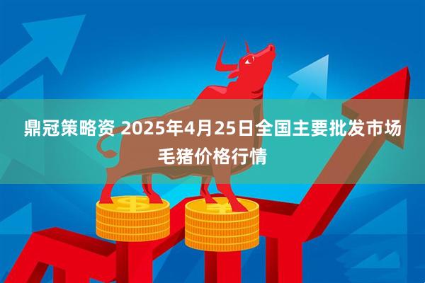 鼎冠策略资 2025年4月25日全国主要批发市场毛猪价格行情